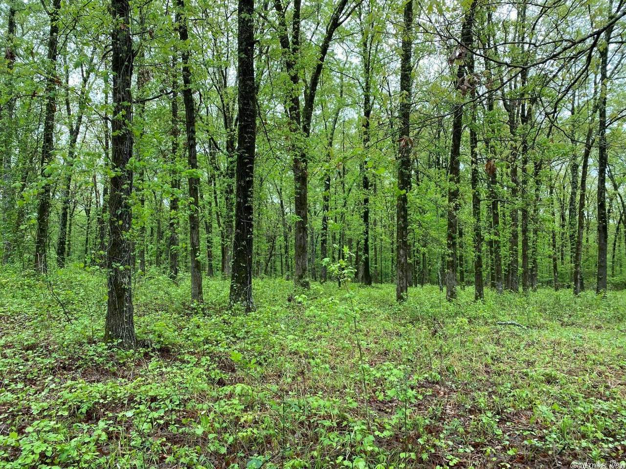 Wilkerson - Photo 1