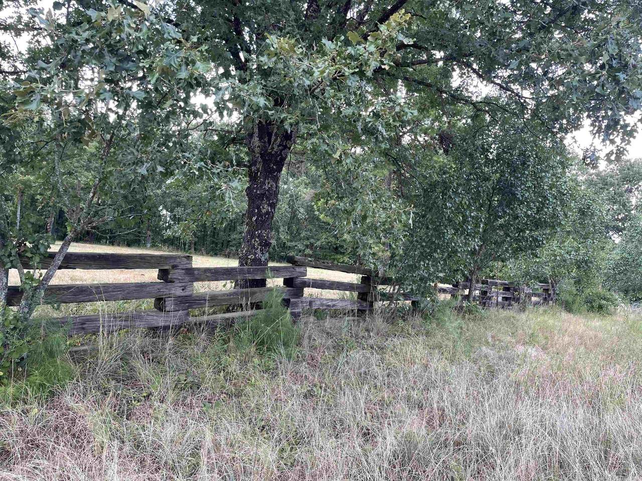 337 Hwy258 - Photo 1