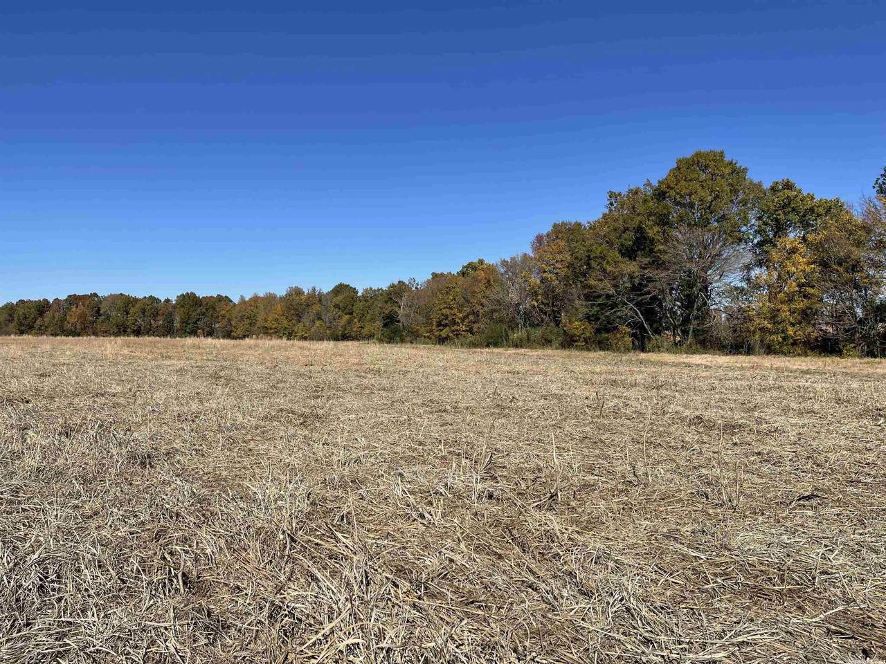 Greene 522 - Photo 1