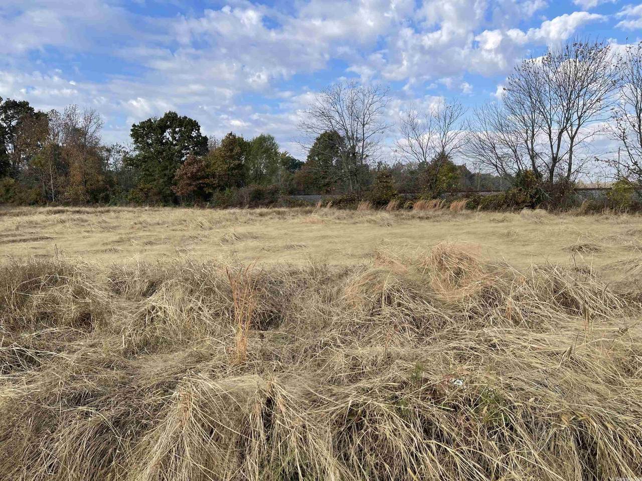 Greene 814 Road - Photo 1