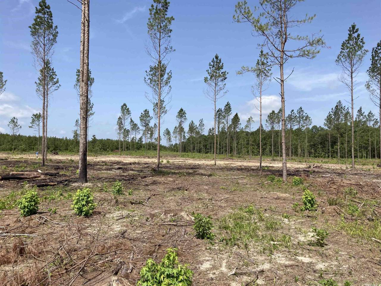 18 Grant County Road 76 (Lot 18) - Photo 1