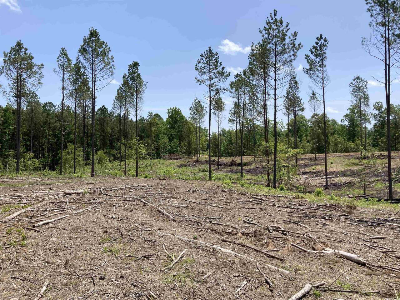 20 Grant County Road 76 (Lot 20) - Photo 1