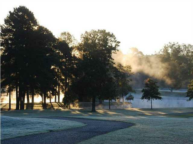226 Arlington Park - Photo 1