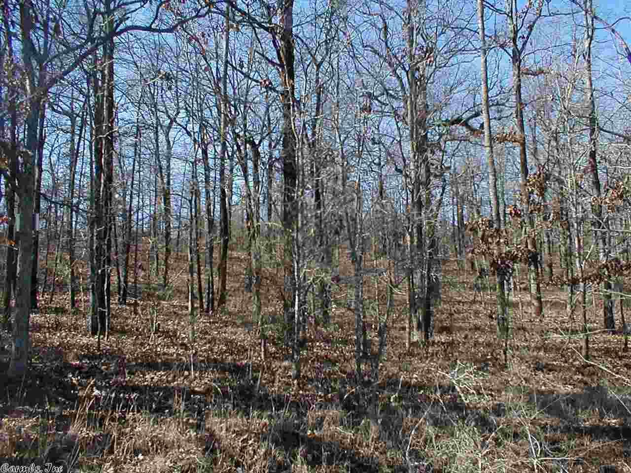 56 Fox Ridge - Photo 1