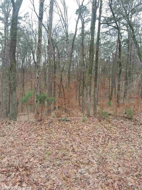 323 Oyster Bay Overlook - Photo 1