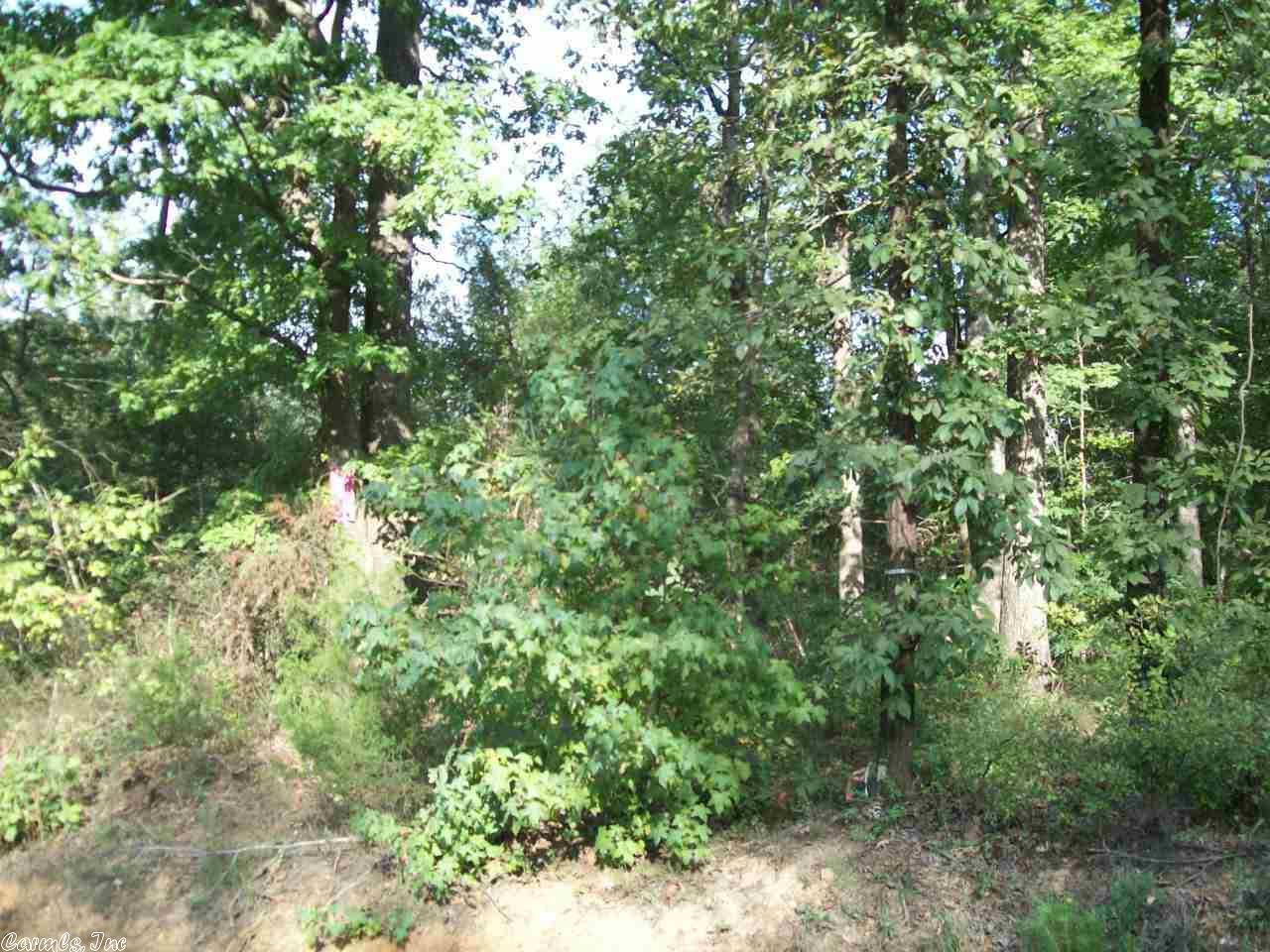0 Jones - Photo 1