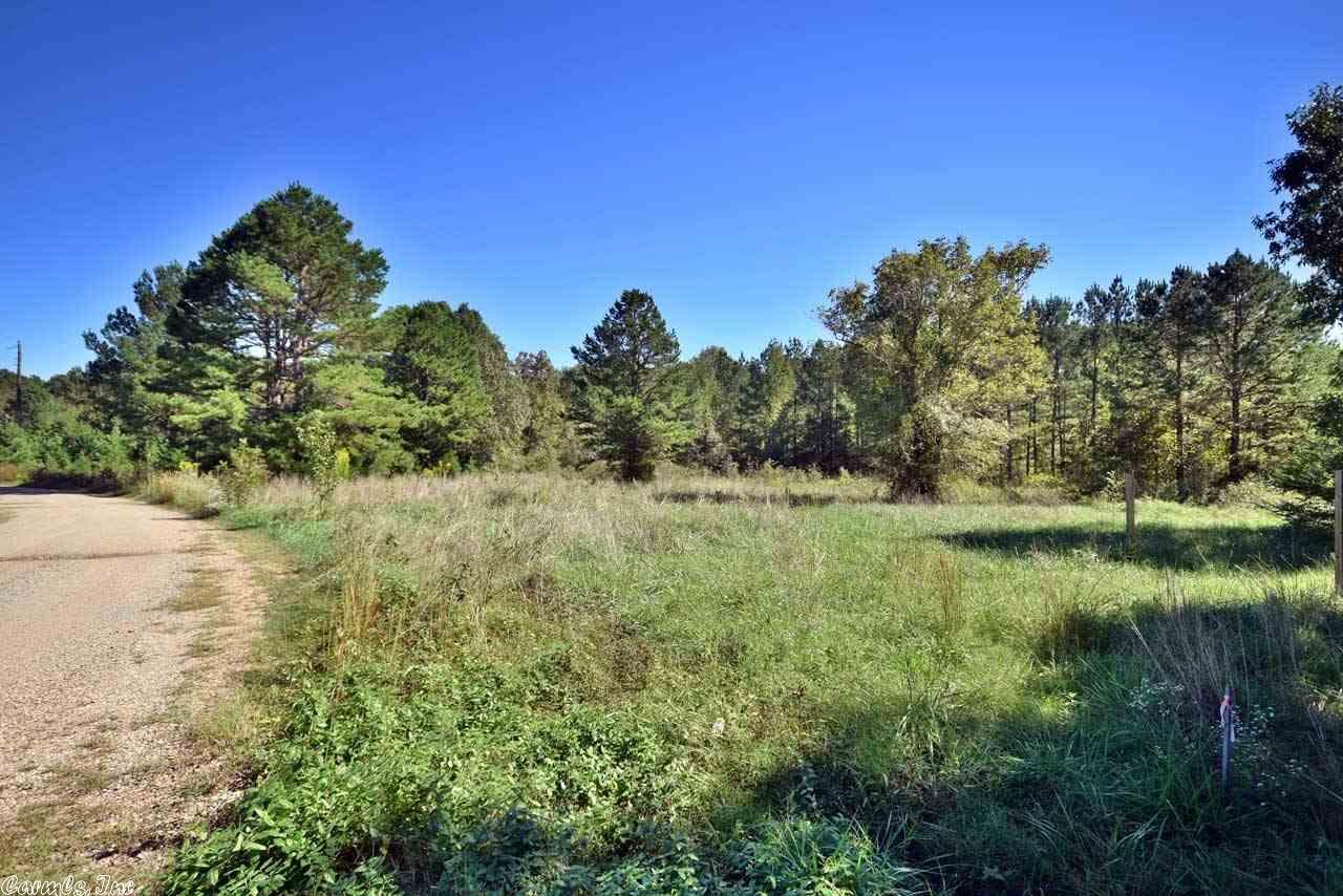 0 Hwy 60 West - Photo 1