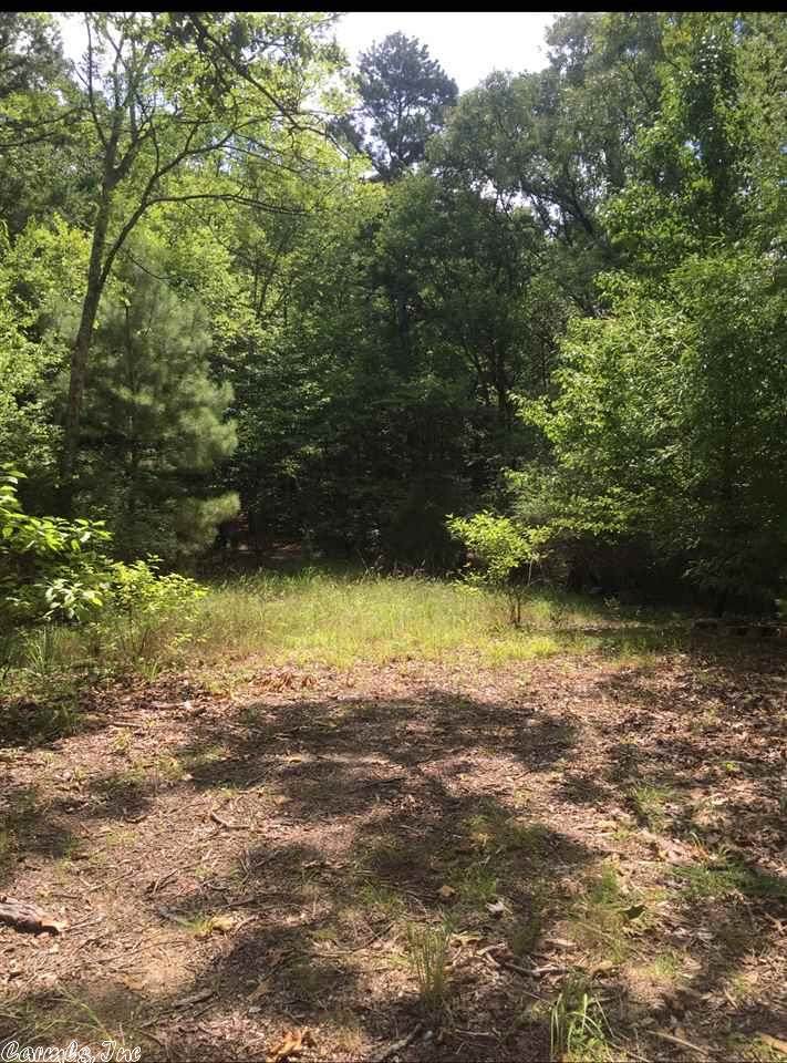 Shady Grove - Photo 1