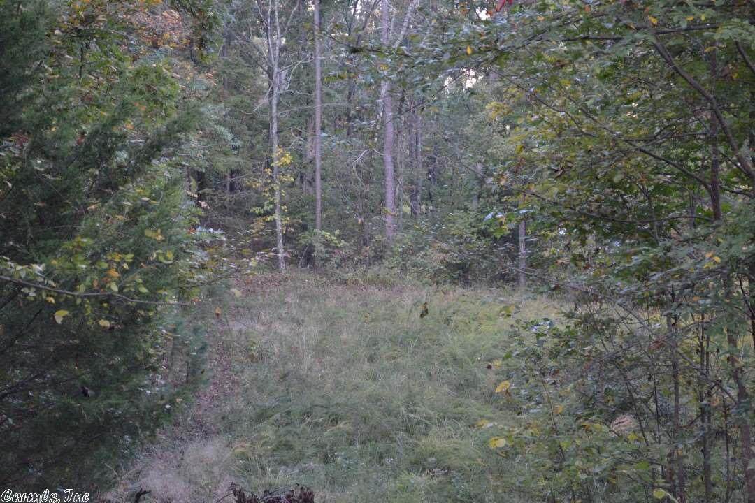 535 Pearce - Photo 1