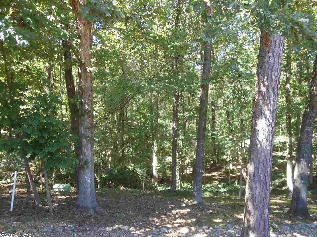 114 Medina - Photo 1