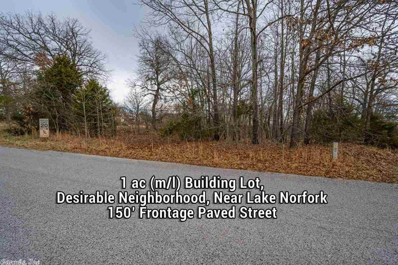 0 Lake Heights - Photo 1