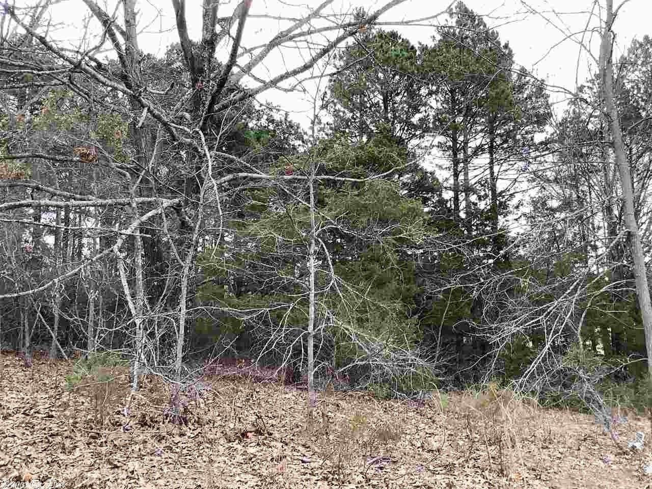 92 Cedar View Loop - Photo 1
