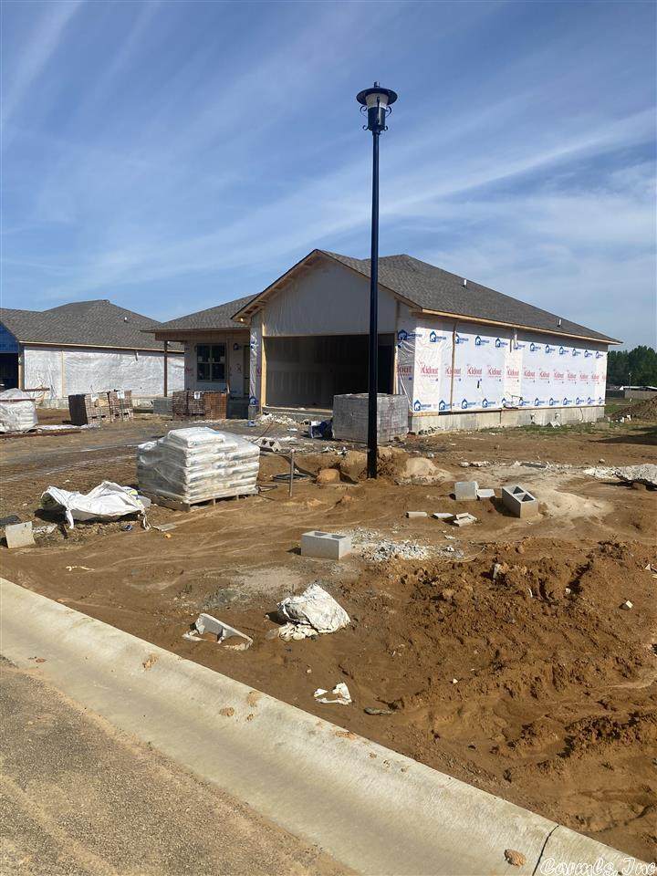 20 Patti Cove - Photo 1