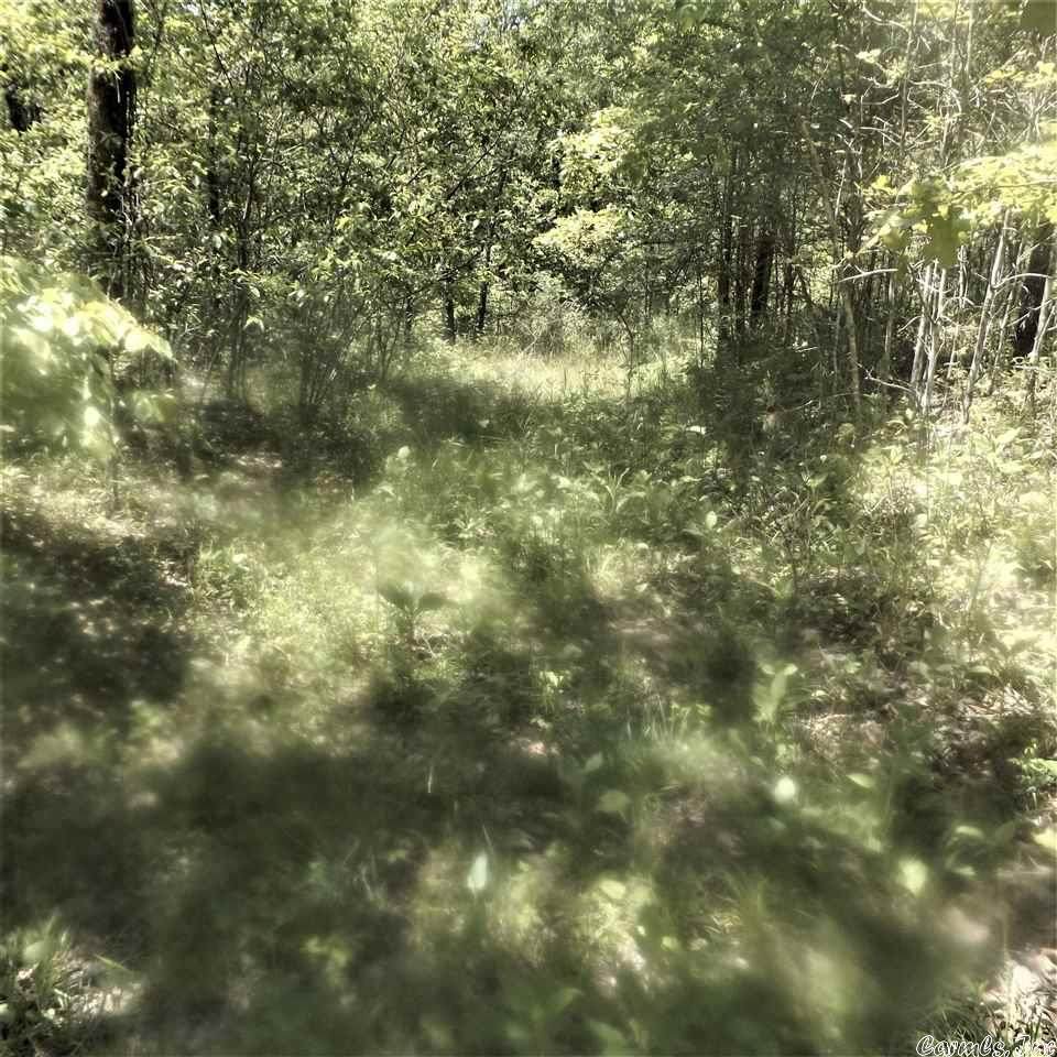 0 Cougar Drive - Photo 1
