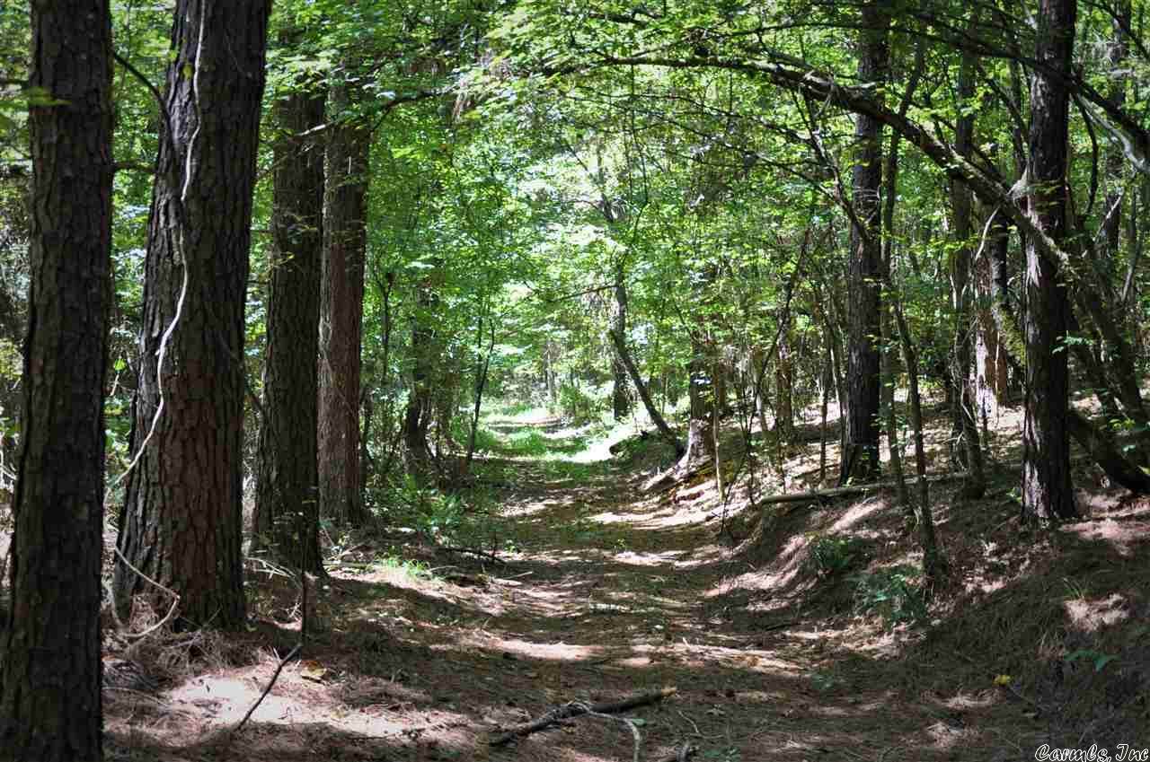 0 Ragweed Valley - Photo 1