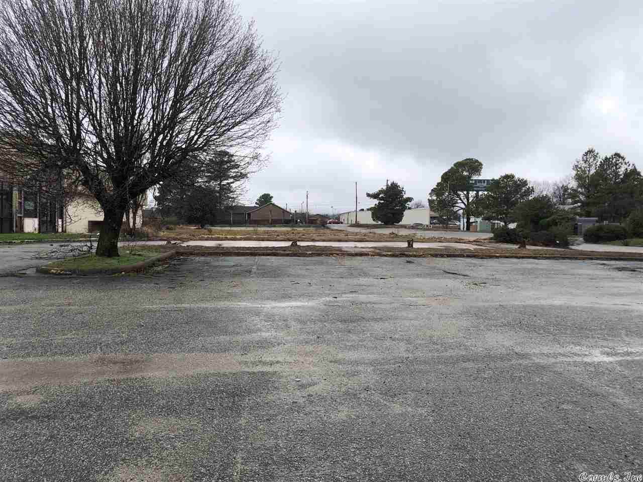 1421 Caraway - Photo 1