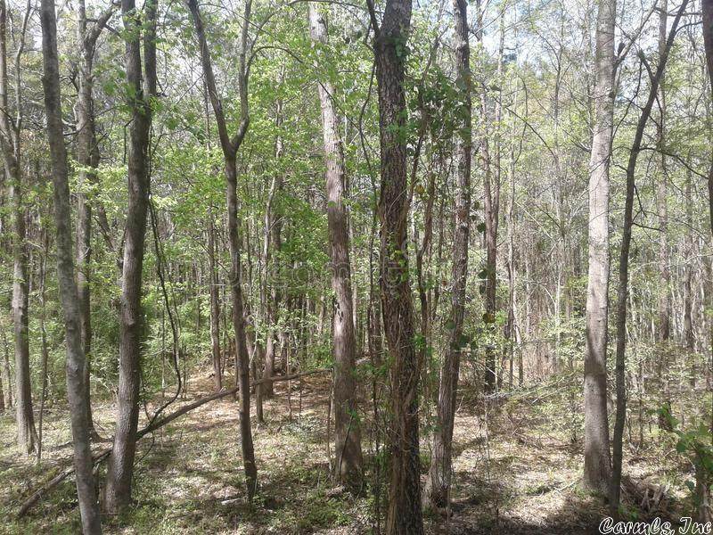 25 Iroquois - Photo 1