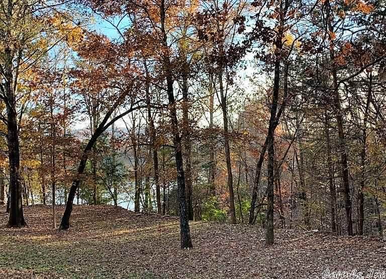 1 Golden Retreat - Photo 1