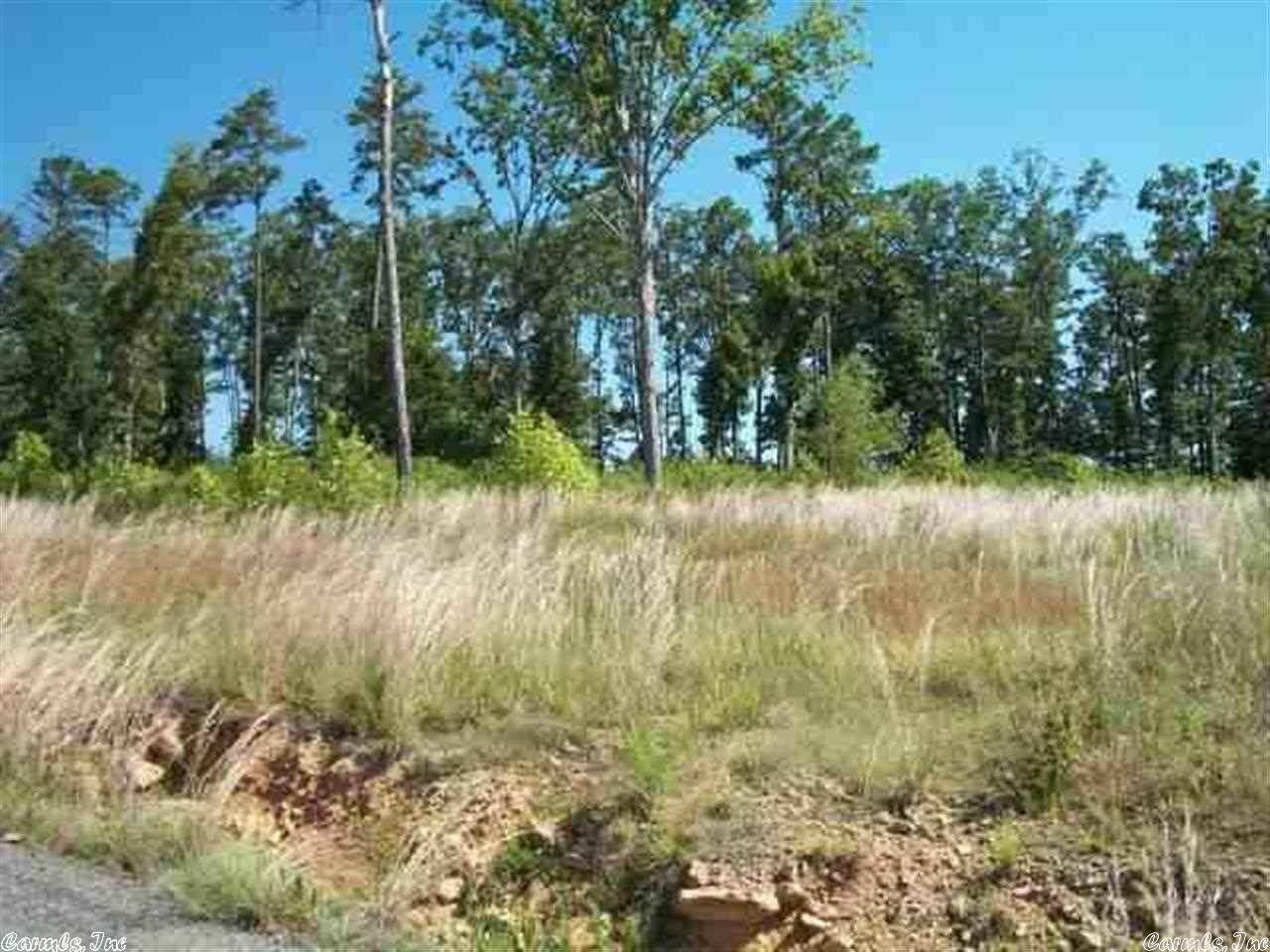 34 Bluff Drive - Photo 1