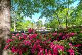 283 White Oak Road - Photo 13