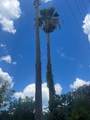 2505 Hamilton Road - Photo 4