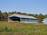 1291 Myron Hart Road - Photo 38
