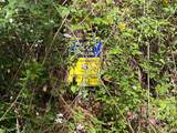 914 Reynolds Road - Photo 11