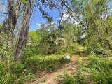 914 Reynolds Road - Photo 7