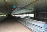 502 Arch Helms Road - Photo 13