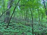 180.14 Johnson Mill Road - Photo 4