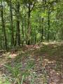 Lots 8 & 9 Mountain Ridge Drive - Photo 6