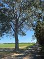Tract 1 Joe Wells Road - Photo 13