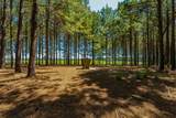 Tract 1 Joe Wells Road - Photo 29
