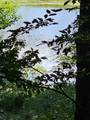 LOT21F Lakeshore Drive - Photo 1