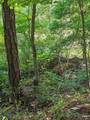 LOT21F Lakeshore Drive - Photo 12