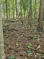 LOT21F Lakeshore Drive - Photo 15