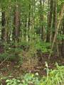 LOT21F Lakeshore Drive - Photo 17