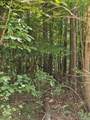 LOT21F Lakeshore Drive - Photo 18