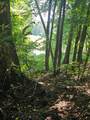 LOT21F Lakeshore Drive - Photo 6