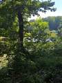 LOT21F Lakeshore Drive - Photo 9