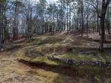350 Pine Tree Road - Photo 14