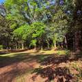 2502 13TH AVENUE - Photo 41
