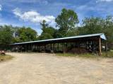 453 Old Buena Vista Rd - Photo 4