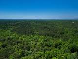 1154 Hunter Road - Photo 94