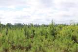 0 Pataula Park Road - Photo 4