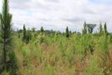 0 Pataula Park Road - Photo 5