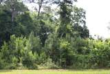 0 Pataula Park Road - Photo 6