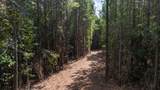 0 Fortune Hole Road - Photo 6