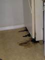 2237 Ticknor Drive - Photo 43