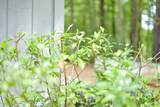 706 Quail Trail - Photo 40